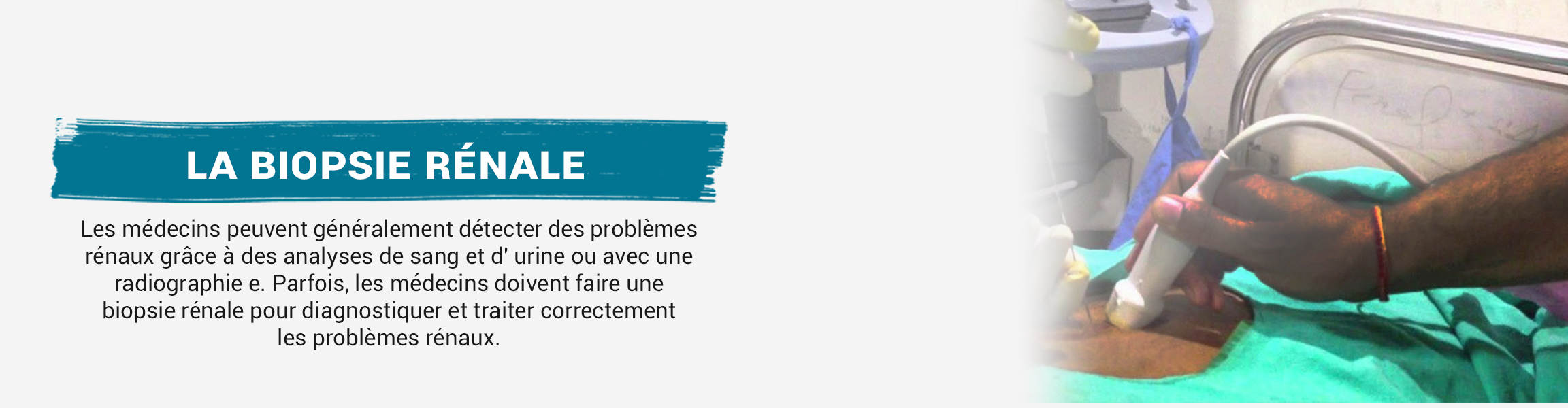 Biopsie rénale Association Ivoirienne des Dialysés et Insuffisants Rénaux